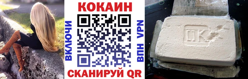 Купить закладки  Вологда  Cocaine FishScale 