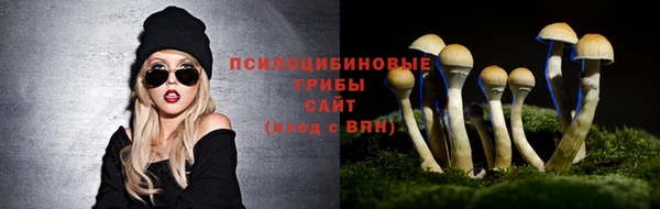 а пвп мука Переславль-Залесский